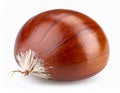Fresh Chestnut Close Up On White Background Royalty Free Stock Photo