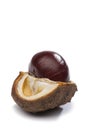 Fresh chestnut in its husk