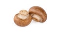 Fresh chestnut mushroom on white background Royalty Free Stock Photo