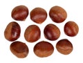 Fresh chestnut seeds