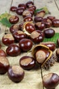 Fresh Chestnuts from an Autumn Harvest and Barbed Crust on an Old Rustic Wooden Table with Leaves