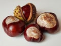 fresh chestnuts Royalty Free Stock Photo