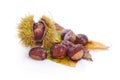 Fresh chestnuts, isolated on white background Royalty Free Stock Photo