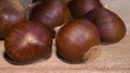 Fresh chesnuts from the tree Royalty Free Stock Photo