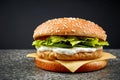 Fresh chicken burger Royalty Free Stock Photo