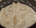 Fresh chicken cooked in a white sauce