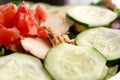 Fresh chicken cucumber salad tomatoes Royalty Free Stock Photo