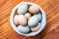 Fresh Chicken and duck eggs Royalty Free Stock Photo