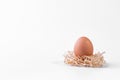Fresh chicken egg in a nest of straw isolated on a white background Royalty Free Stock Photo
