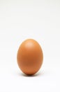 Fresh chicken egg on white background. isolated brown egg. Royalty Free Stock Photo