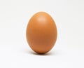 Fresh chicken egg on white background. isolated brown egg. Royalty Free Stock Photo