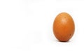 Fresh chicken egg on white background. isolated brown egg. Royalty Free Stock Photo