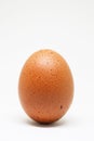 Fresh chicken egg on white background. isolated brown egg. Royalty Free Stock Photo