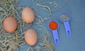 Fresh Chicken Egg On Wooden Background