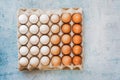 Fresh chicken Eggs arranged in order of light to dark in cardboard box Royalty Free Stock Photo