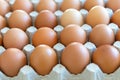 Fresh chicken eggs in a cardboard package made of recycled waste paper. Eco packaging Royalty Free Stock Photo
