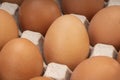 Fresh Chicken eggs in carton box on wooden table. Egg in cardboard box ready to sell.