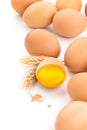 Fresh chicken eggs. Royalty Free Stock Photo