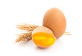 Fresh chicken eggs. Royalty Free Stock Photo