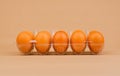 chicken eggs, chicken eggs in egg stalls High protein breakfast, orange eggs, healthy food and promote good health