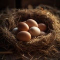 fresh chicken eggs in hay nest on a wooden background.