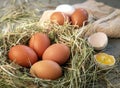 Fresh chicken eggs in a nest of dry grass. One egg is broken. Royalty Free Stock Photo