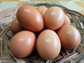 Fresh chicken eggs. Nutrient-rich chicken eggs. High protein food. Royalty Free Stock Photo