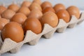 Fresh chicken eggs on a paper egg carton. Natural healthy food and organic farming concept, eggs in a box Royalty Free Stock Photo