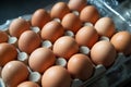 Fresh chicken eggs eggs in paper tray,egg in carton Royalty Free Stock Photo