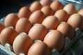 Fresh chicken eggs eggs in paper tray,egg in carton Royalty Free Stock Photo