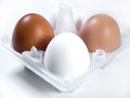 Fresh chicken eggs white and brown in plastic packing. Royalty Free Stock Photo