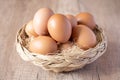 fresh chicken eggs in a wicker basket Royalty Free Stock Photo