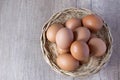 fresh chicken eggs in a wicker basket Royalty Free Stock Photo