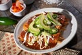 Chicken Enchiladas With Avocado Royalty Free Stock Photo