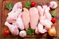 Fresh chicken meat