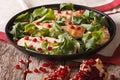 Fresh chicken salad with arugula and pomegranate close-up Royalty Free Stock Photo