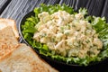 Fresh chicken salad with celery, eggs with mayonnaise dressing closeup on a plate. horizontal Royalty Free Stock Photo