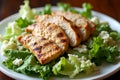 A fresh chicken salad with lettuce and cheese, placed on a white plate Royalty Free Stock Photo
