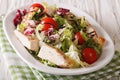 Fresh chicken salad, tomato, chicory, lettuce and arugula with b Royalty Free Stock Photo