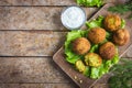 Fresh chickpeas falafel with tzatziki sauce