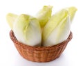 Fresh chicory in a basket