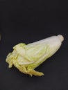 a fresh chicory, a vegetable that can be processed and cooked into soup or stir-fry Royalty Free Stock Photo