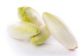 Fresh chicory Royalty Free Stock Photo