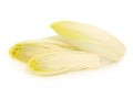 Fresh chicory on Royalty Free Stock Photo