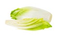 Fresh chicory on a white background