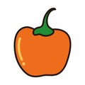 fresh chili icon