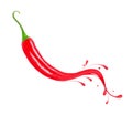 Fresh chili pepper with splashes and drops of paint Royalty Free Stock Photo