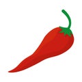 Fresh chili pepper vegetable icon