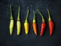 Fresh chili peppers