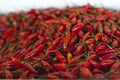 Fresh chili peppers paprika Spices Cuisine peri peri piri piri bright red colour